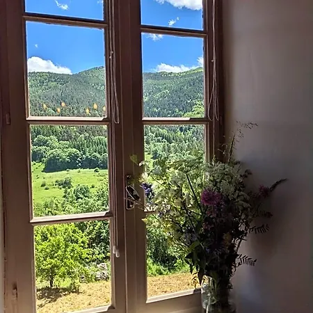 La Caminada Vielha Montaillou