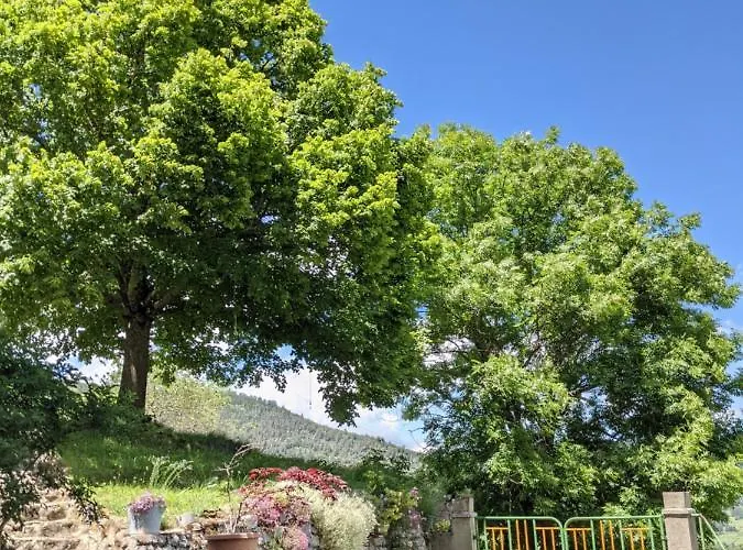 La Caminada Vielha 3*